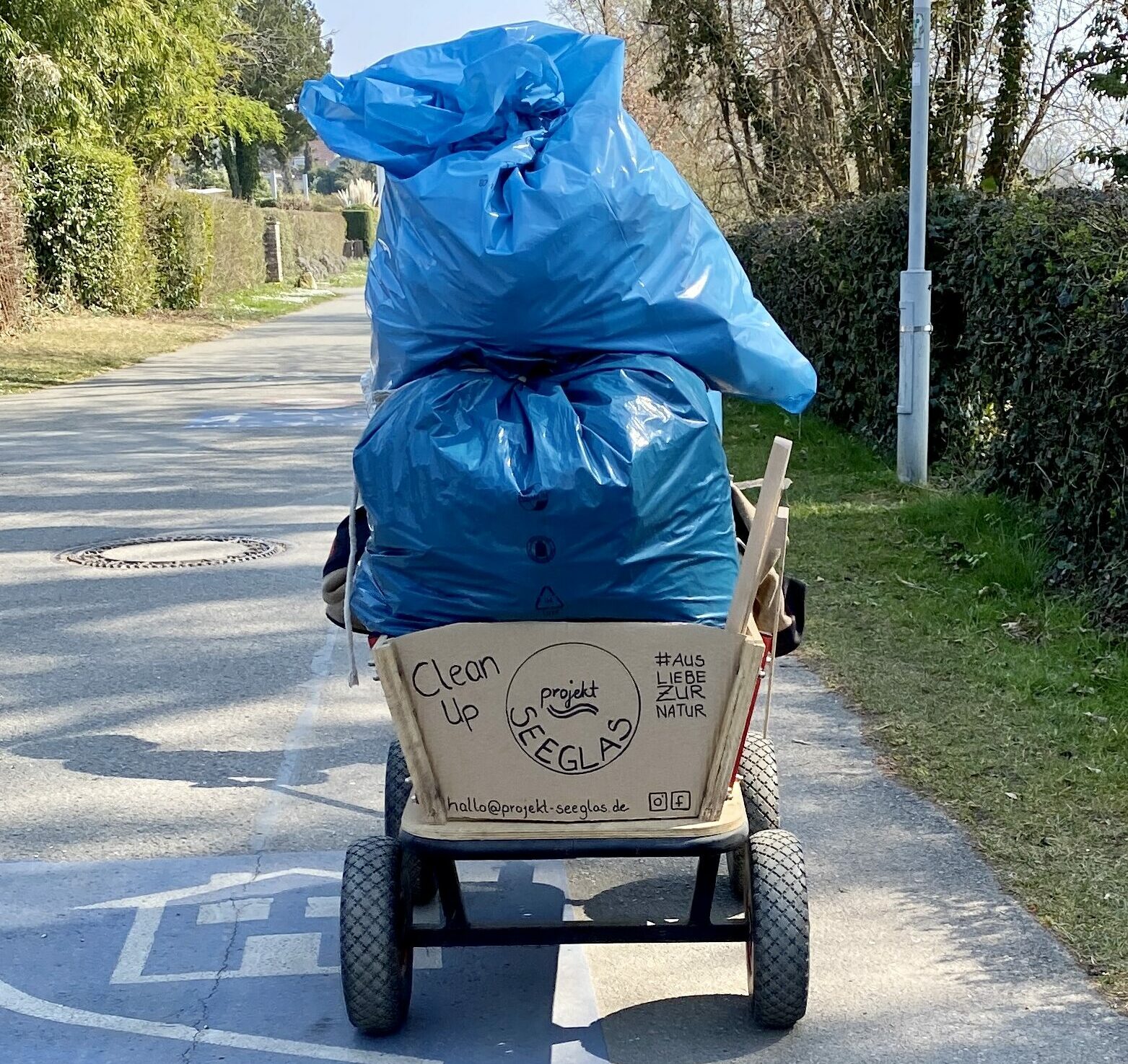 clean ups muell sammeln